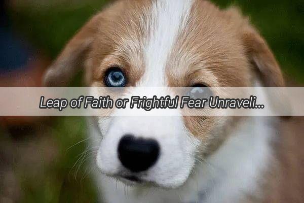 Leap of Faith or Frightful Fear Unraveling the Mystery of Why Dogs Fear Tunnels